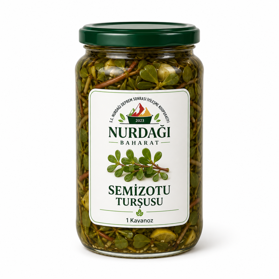 Semizotu Turşusu 1 Kavanoz