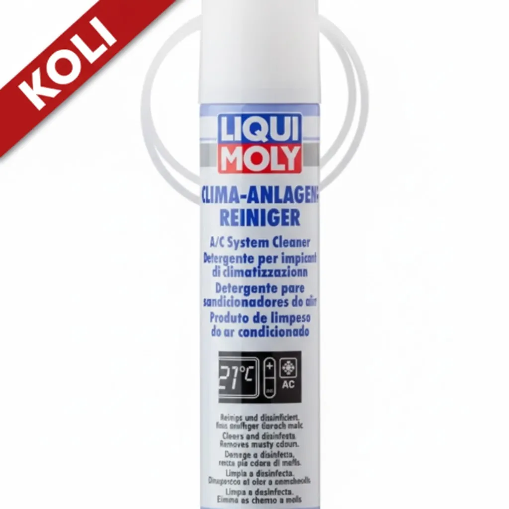 LIQUI MOLY Klima Sistem Temizleyici Sprey 250 ml (6'lı) 4087