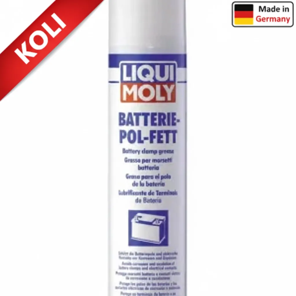 LIQUI MOLY Akü Gres Spreyi 300 ml (6'lı) 3141