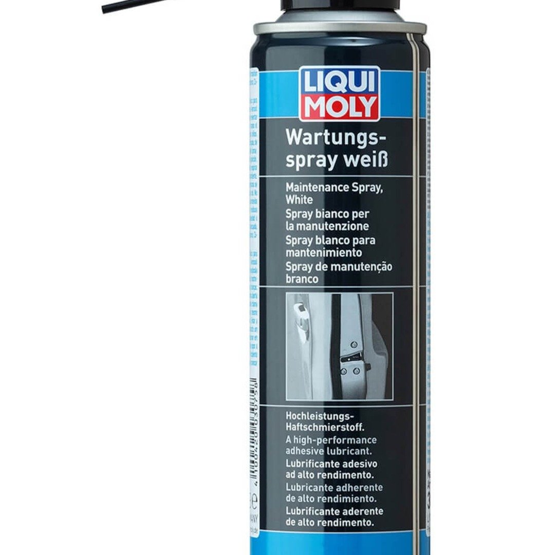 LIQUI MOLY Kilit Bakım Spreyi 250 ml (3075)
