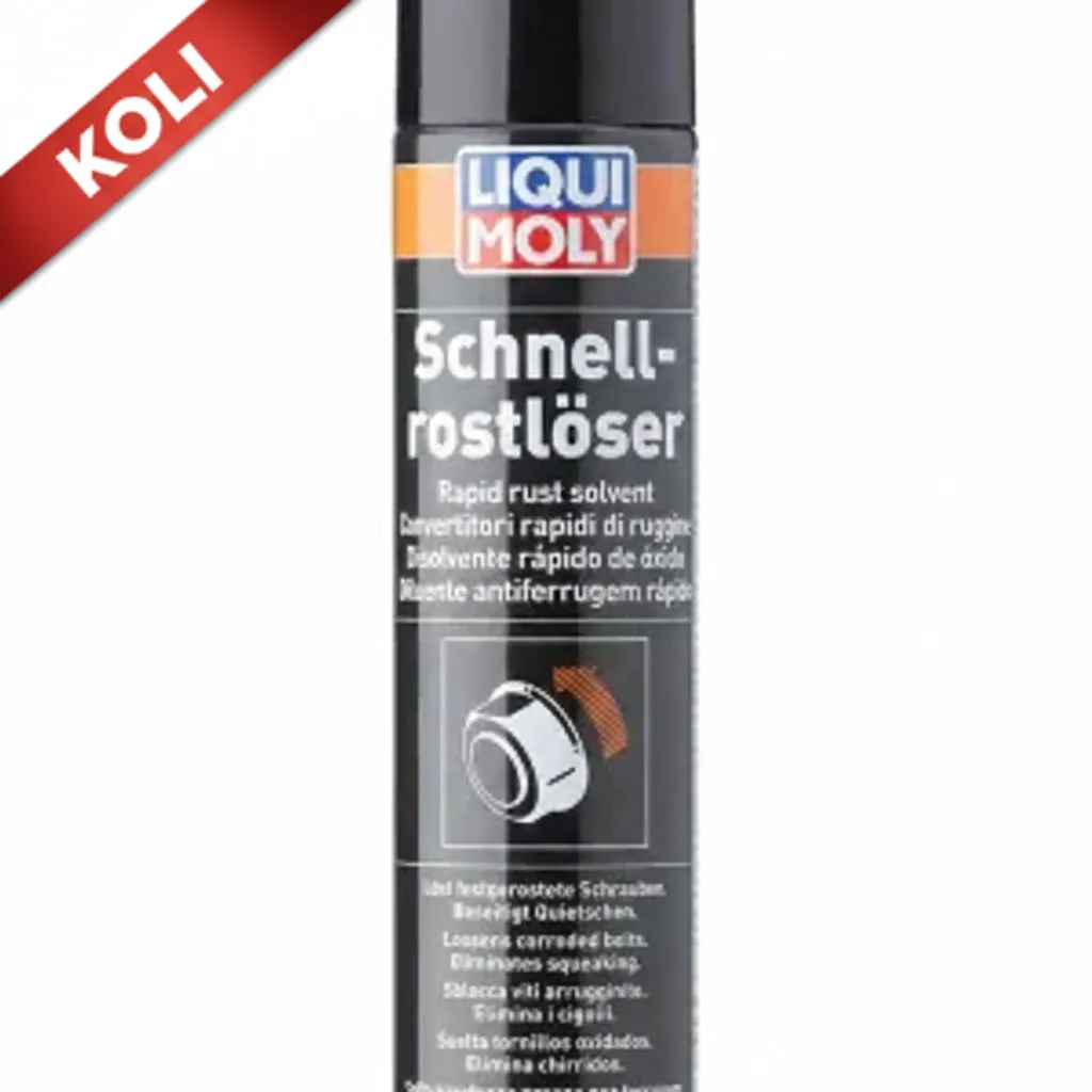 LIQUI MOLY Hızlı Pas Sökücü 300 ml (12'li) 1612