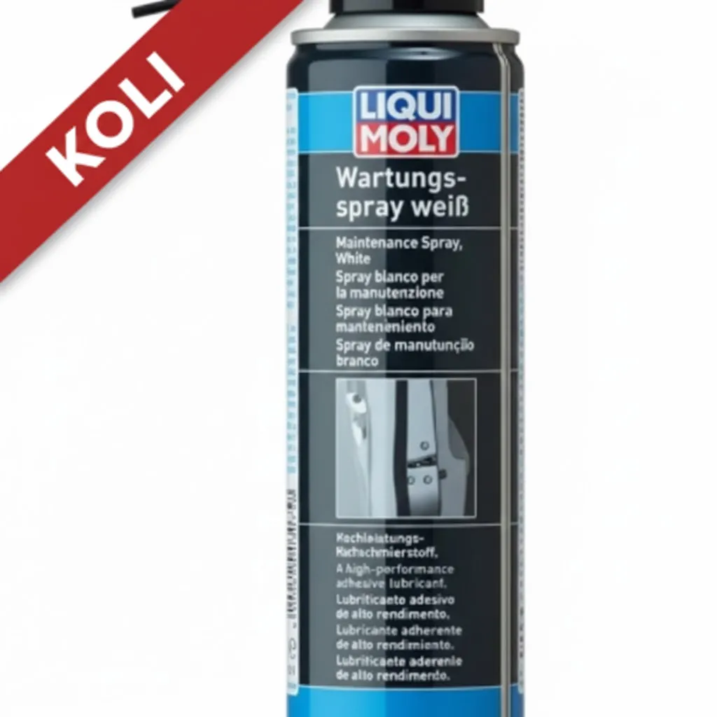 LIQUI MOLY Kilit Bakım Spreyi 250 ml (12'li) 3075