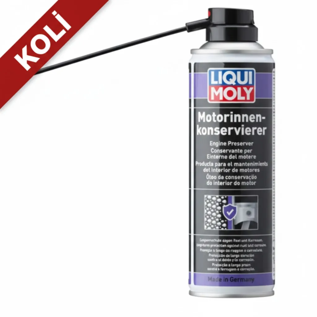 LIQUI MOLY Motor Koruyucu Sprey (Engine Preserver) 300 ml (6'lı) 1420