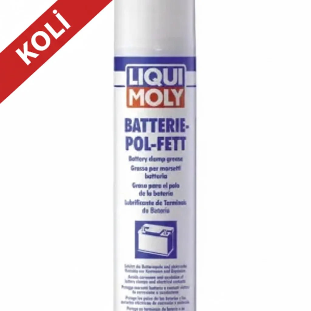 LIQUI MOLY Akü Gres Spreyi 300 ml (6'lı) 3141