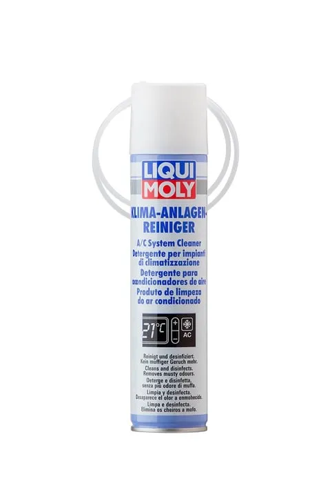 LIQUI MOLY Klima Sistem Temizleyici Sprey 250 ml (4087)