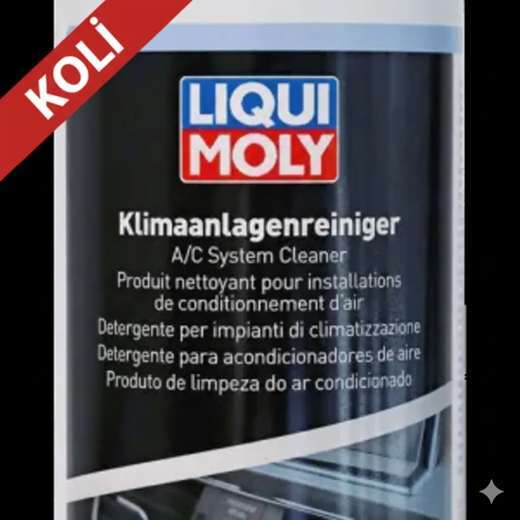 LIQUI MOLY Klima Sistemi Temizleme Sıvısı 1 litre (6'lı) 4091