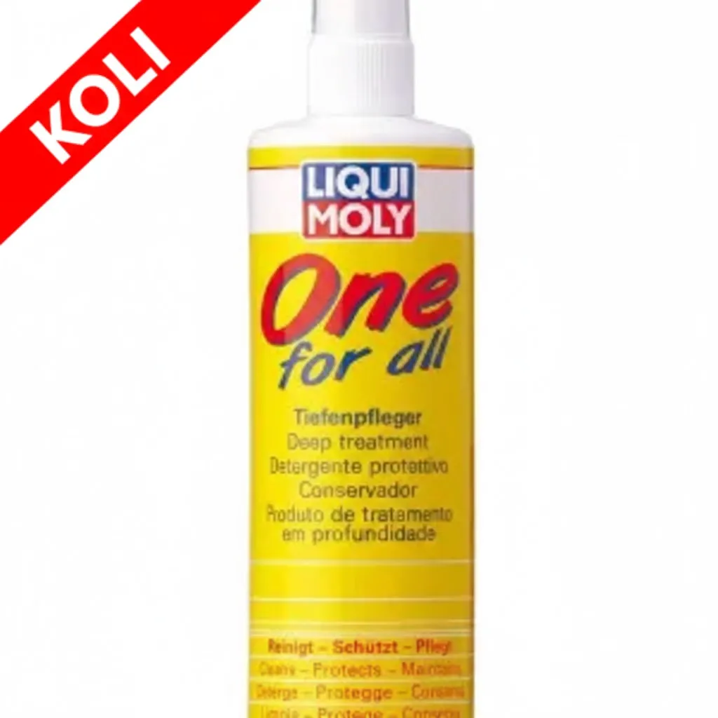 LIQUI MOLY One For All Bakım Ürünü 250 ml (12'li) 1650
