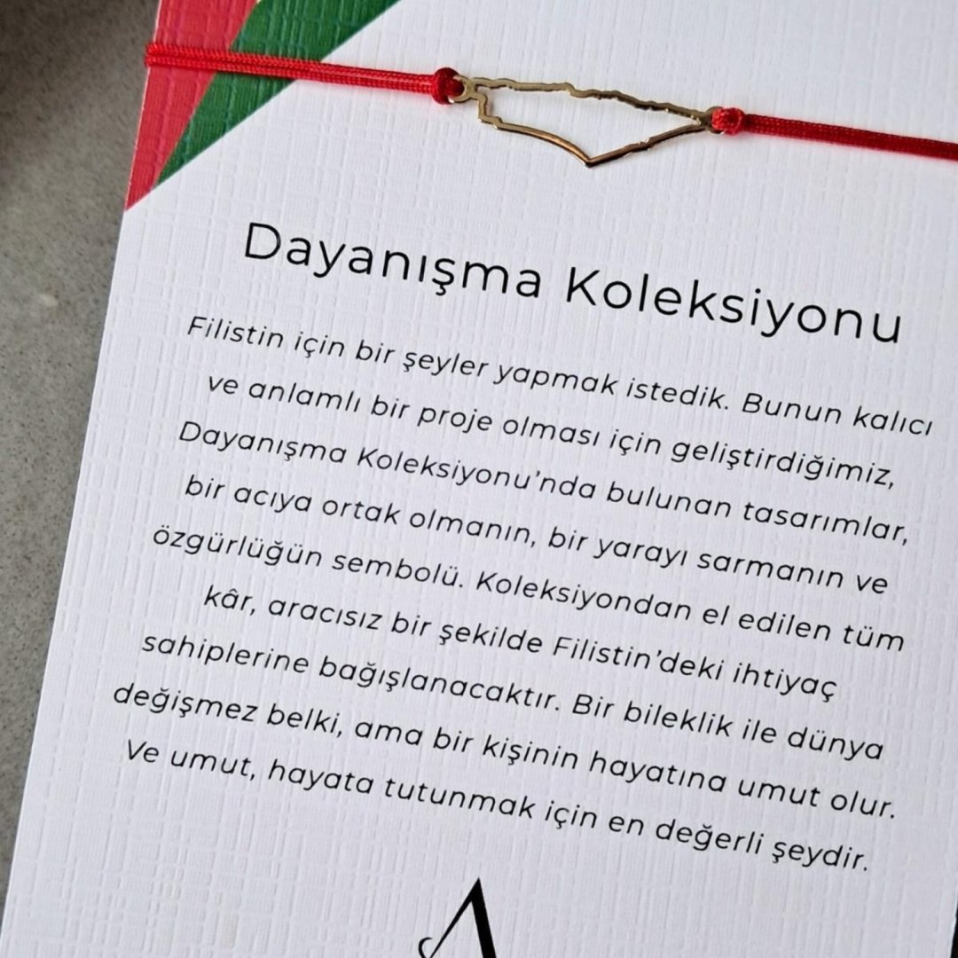 Filistin Haritası Kırmızı İpli Gümüş Renk Bileklik — Altınköşe — görsel 5