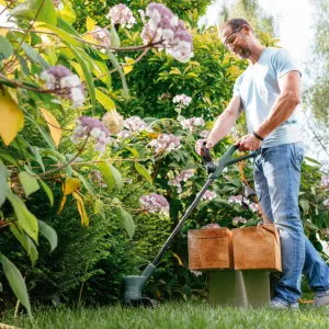 Bosch EasyGrassCut 23 Misinalı Çim Biçme Makinesi