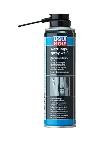 LIQUI MOLY Kilit Bakım Spreyi 250 ml (3075)