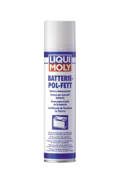 LIQUI MOLY Akü Gres Spreyi 300 ml (3141)